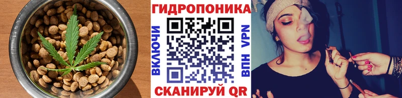 Canna-Cookies марихуана  mega зеркало  Лабытнанги 