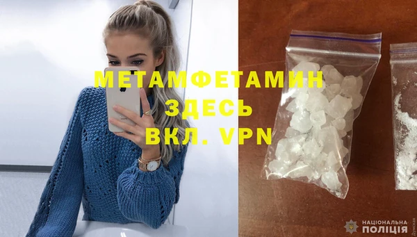 сатива Горняк
