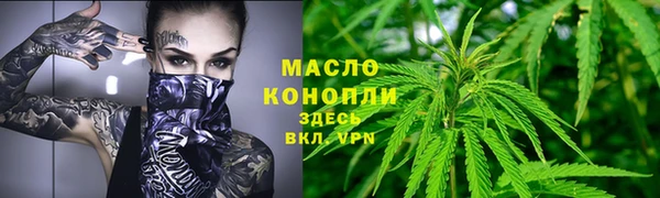 индика Горно-Алтайск